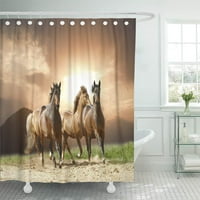 Зелено ранчо бели диви коне в лятото сиво бягане декор за баня баня за душ завеса