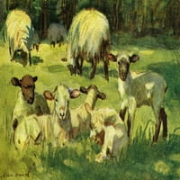 Колекция от печат на овце и агнета от печат от Мери Еванс Библиотека и зората Cope Collection